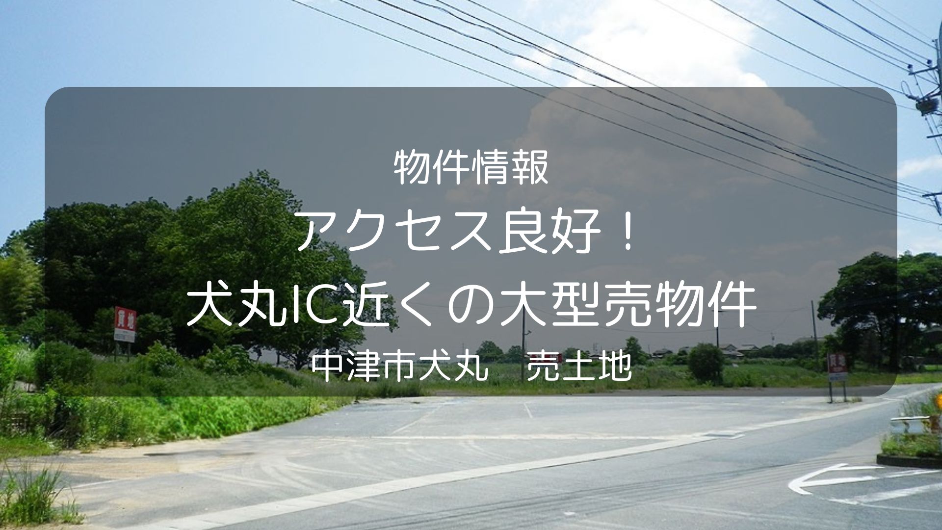 物件　豊後不動産、犬丸